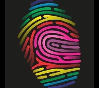 Barzinho com Show ao Vivo em Goiânia GO